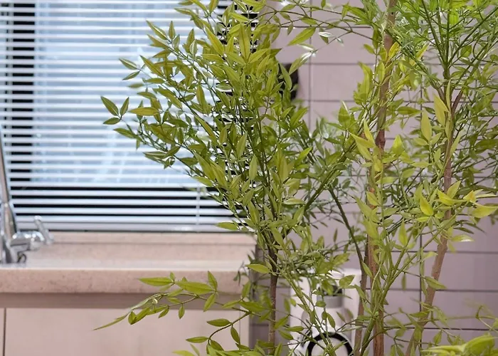 Apartment Lehaim 르하임 마포구청역 5분